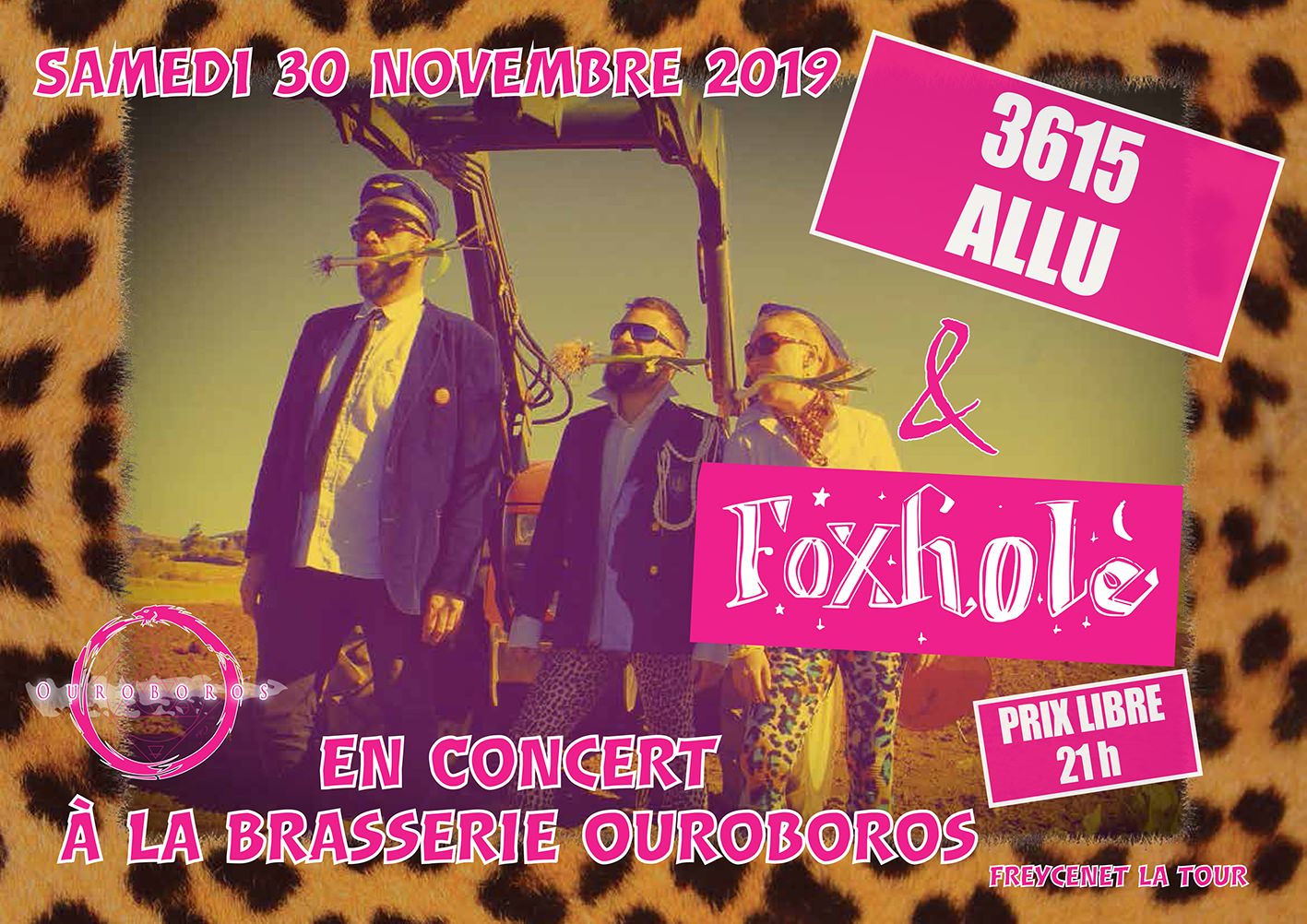 Concert : 3615 ALLU et FOXHOLE