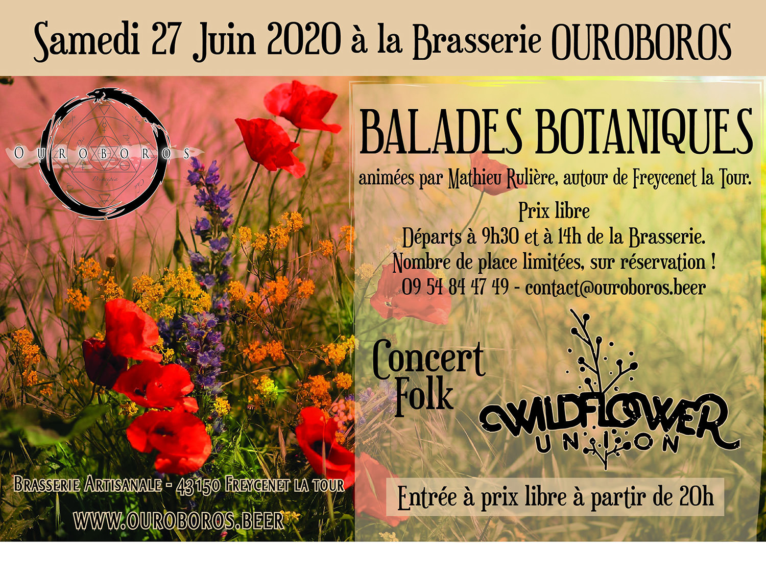 Balades botaniques et concert de WildFlower Union